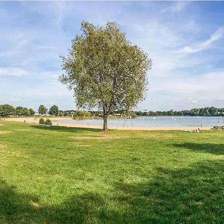 Sfeervol Ingericht 6 Persoons Chalet Aan De Bossen In 4-18 Chalet