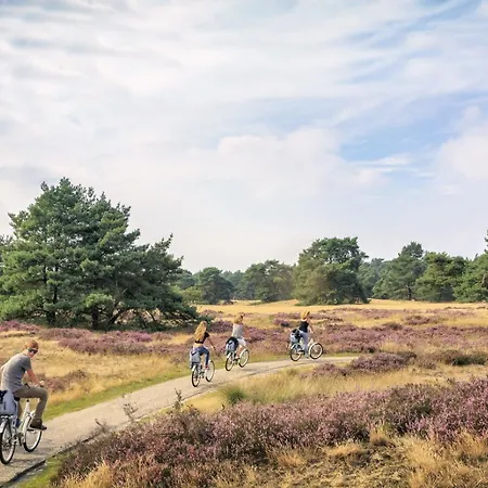 Chalet Sfeervol Ingericht 6 Persoons Chalet Aan De Bossen In 4-18 *