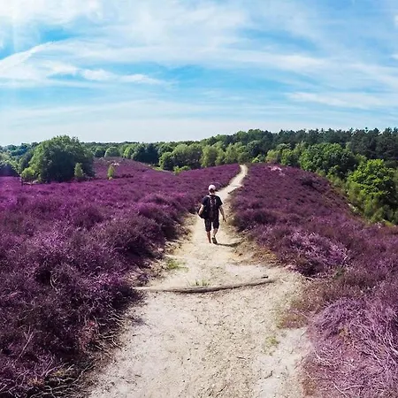 Sfeervol Ingericht 6 Persoons Chalet Aan De Bossen In 4-18 Putten
