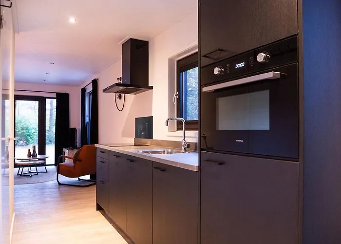 Sfeervol Ingericht 6 Persoons Chalet Aan De Bossen In 4-18 Alpesi faház Putten