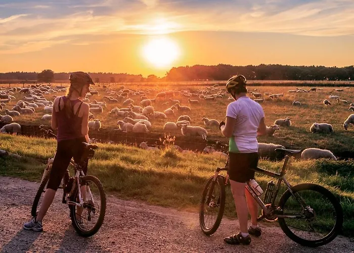 Alpesi faház Sfeervol Ingericht 6 Persoons Chalet Aan De Bossen In 4-18 *